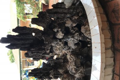 Kỉ niệm 133 năm ngày sinh nhật Bác Hồ Kính yêu . Nhà trường, công đoàn , Đoàn thanh niên Trường Mầm Non Hoa Mai trồng cây nhân  ngày sinh nhật Bác Hồ ngày 19/05